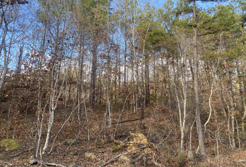 2 ROSE CREEK RD, Selmer, Tennessee 38375, 0 , 0 ,0,Land,For Sale,ROSE CREEK,0,10211451