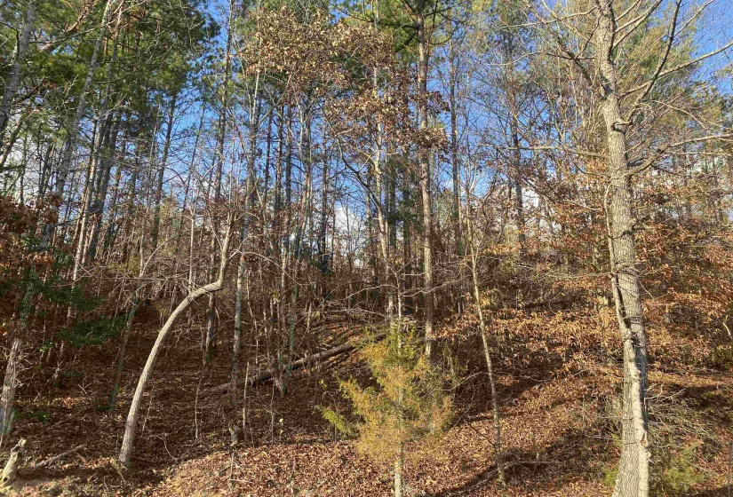 2 ROSE CREEK RD, Selmer, Tennessee 38375, 0 , 0 ,0,Land,For Sale,ROSE CREEK,0,10211451