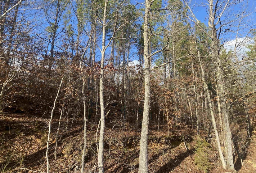 2 ROSE CREEK RD, Selmer, Tennessee 38375, 0 , 0 ,0,Land,For Sale,ROSE CREEK,0,10211451
