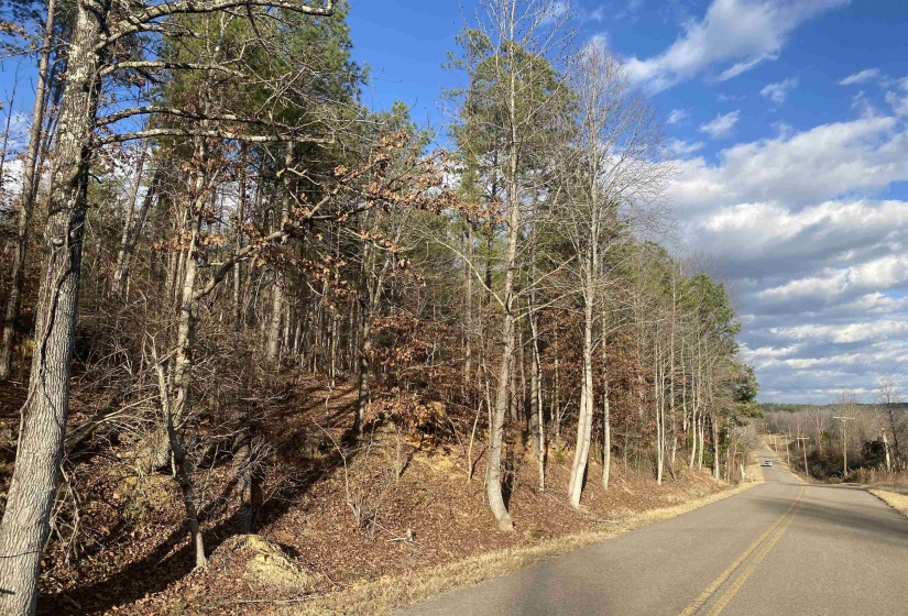 2 ROSE CREEK RD, Selmer, Tennessee 38375, 0 , 0 ,0,Land,For Sale,ROSE CREEK,0,10211451