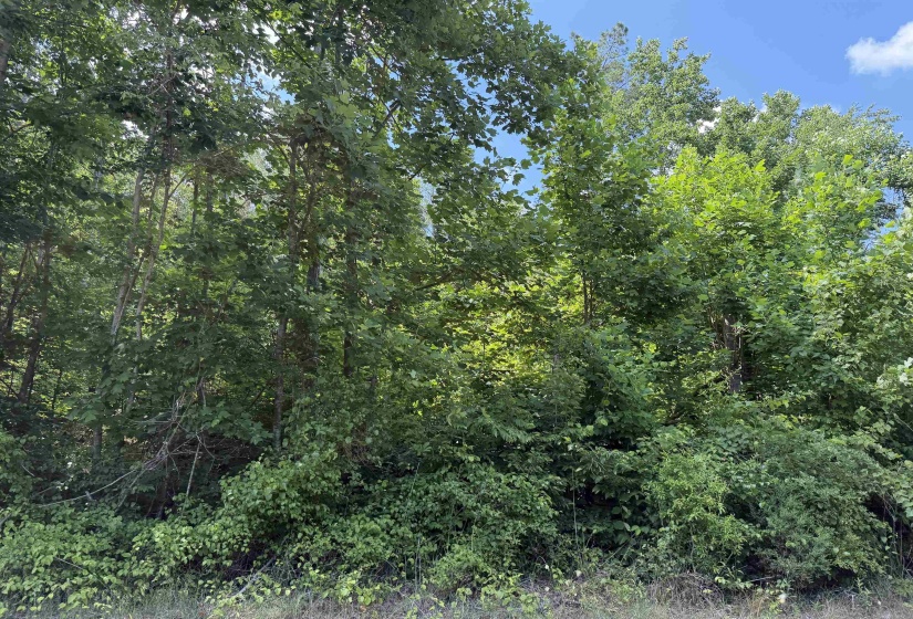3 ROSE CREEK RD, Selmer, Tennessee 38375, 0 , 0 ,0,Land,For Sale,ROSE CREEK,0,10211461
