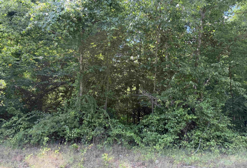 3 ROSE CREEK RD, Selmer, Tennessee 38375, 0 , 0 ,0,Land,For Sale,ROSE CREEK,0,10211461