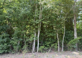 3 ROSE CREEK RD, Selmer, Tennessee 38375, 0 , 0 ,0,Land,For Sale,ROSE CREEK,0,10211461