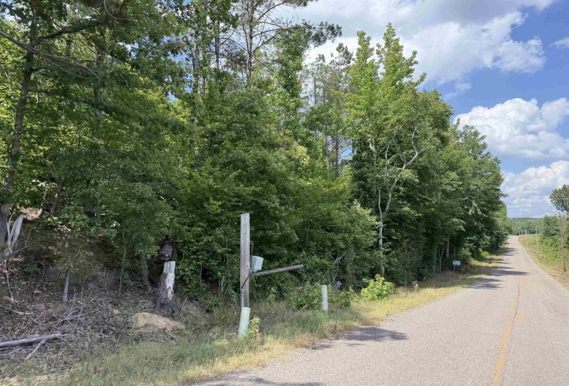 3 ROSE CREEK RD, Selmer, Tennessee 38375, 0 , 0 ,0,Land,For Sale,ROSE CREEK,0,10211461