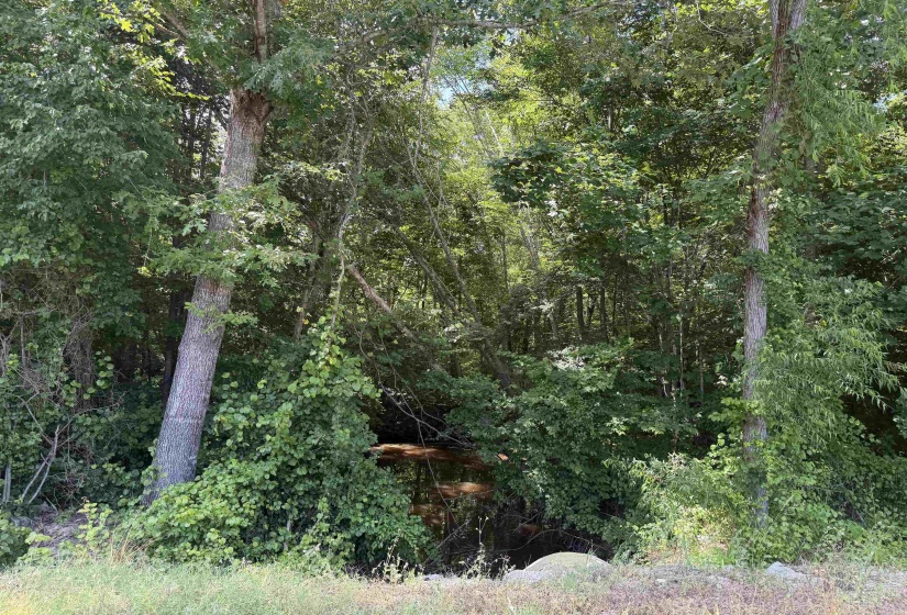 3 ROSE CREEK RD, Selmer, Tennessee 38375, 0 , 0 ,0,Land,For Sale,ROSE CREEK,0,10211461