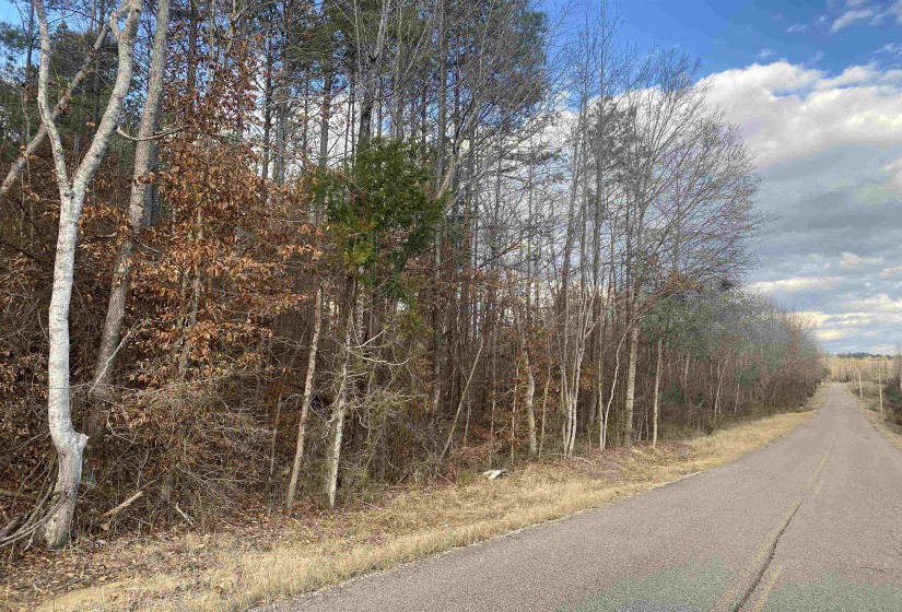 3 ROSE CREEK RD, Selmer, Tennessee 38375, 0 , 0 ,0,Land,For Sale,ROSE CREEK,0,10211461