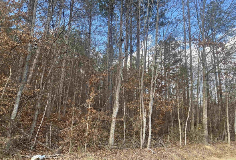 3 ROSE CREEK RD, Selmer, Tennessee 38375, 0 , 0 ,0,Land,For Sale,ROSE CREEK,0,10211461