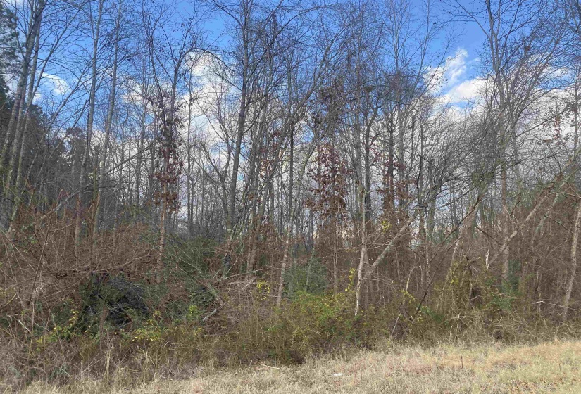 3 ROSE CREEK RD, Selmer, Tennessee 38375, 0 , 0 ,0,Land,For Sale,ROSE CREEK,0,10211461