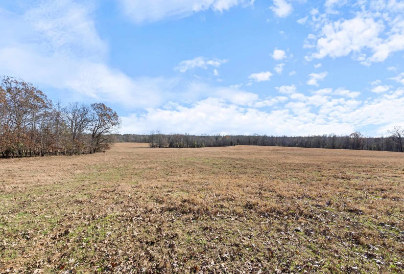 532 QUAILWOOD RD, Holly Springs, Mississippi 38635, ,Land,For Sale,QUAILWOOD,10211489