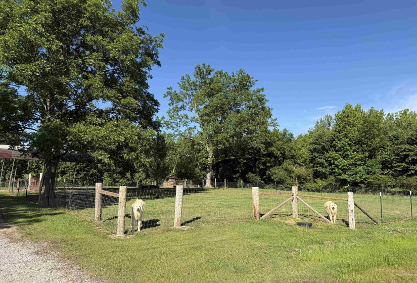 1120 JOT EM DOWN RD, Morris Chapel, Tennessee 38361, 4 Bedrooms Bedrooms, 11 Rooms Rooms,3 BathroomsBathrooms,Residential,For Sale,JOT EM DOWN,10211510