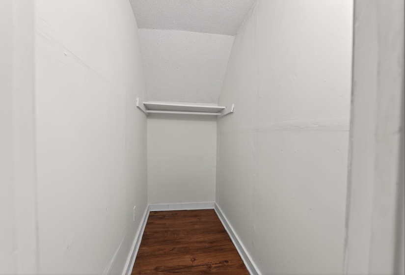 Walk in closet featuring dark wood-type flooring and lofted ceiling