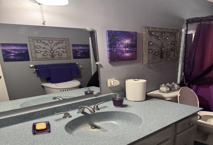 Full bath featuring vanity and a shower with shower curtain