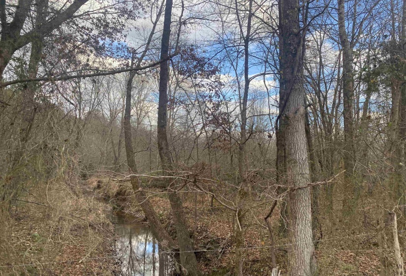 7 HUGHEY TALLEY RD, Selmer, Tennessee 38375, ,Land,For Sale,HUGHEY TALLEY,10211589