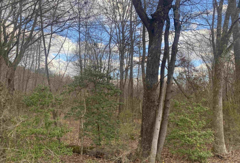 7 HUGHEY TALLEY RD, Selmer, Tennessee 38375, ,Land,For Sale,HUGHEY TALLEY,10211589