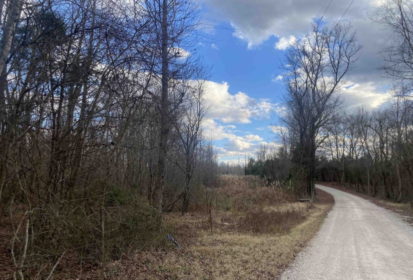 7 HUGHEY TALLEY RD, Selmer, Tennessee 38375, ,Land,For Sale,HUGHEY TALLEY,10211589