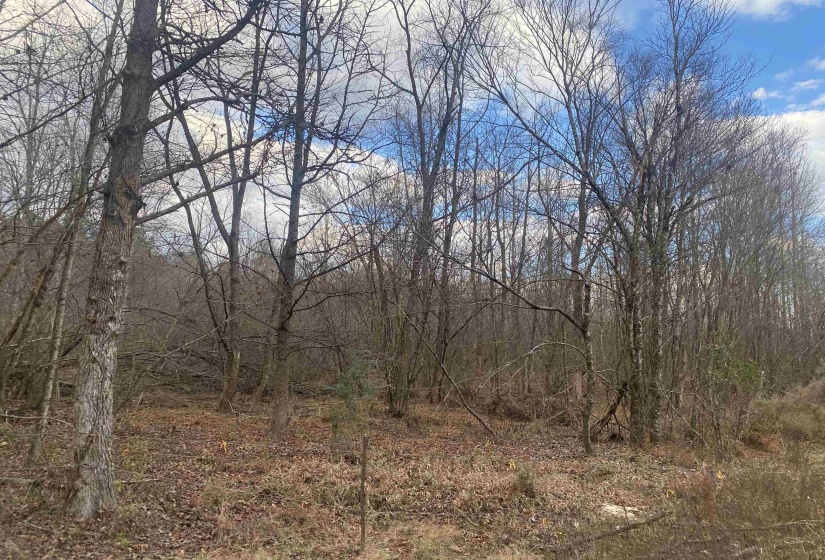 7 HUGHEY TALLEY RD, Selmer, Tennessee 38375, ,Land,For Sale,HUGHEY TALLEY,10211589