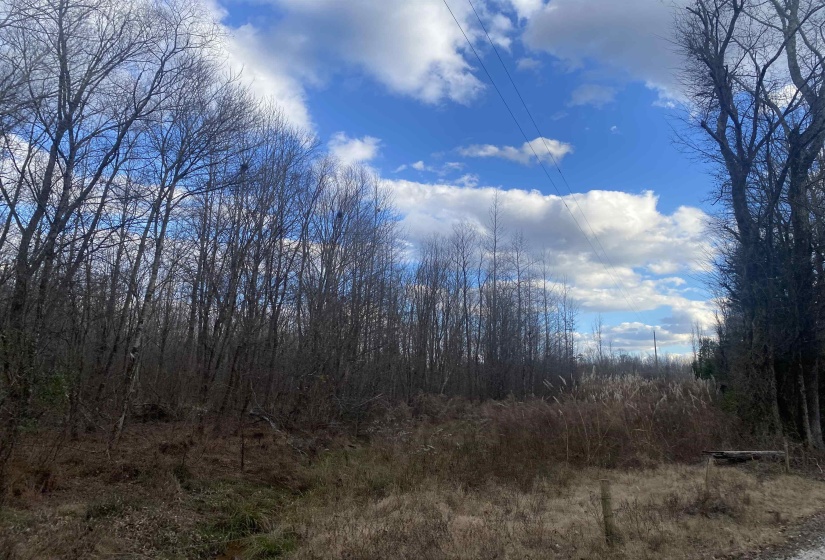7 HUGHEY TALLEY RD, Selmer, Tennessee 38375, ,Land,For Sale,HUGHEY TALLEY,10211589