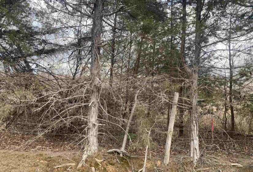 7 HUGHEY TALLEY RD, Selmer, Tennessee 38375, ,Land,For Sale,HUGHEY TALLEY,10211589