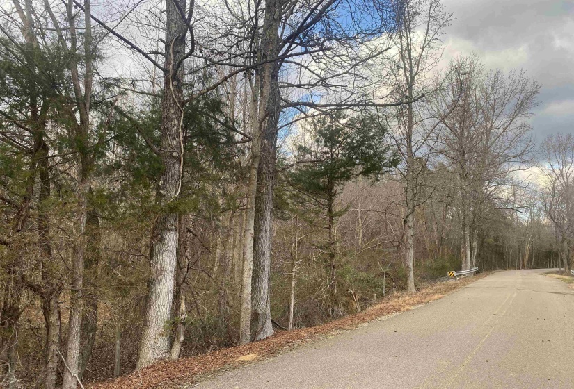 8 ROSE CREEK RD, Selmer, Tennessee 38375, 0 , 0 ,0,Land,For Sale,ROSE CREEK,0,10211595