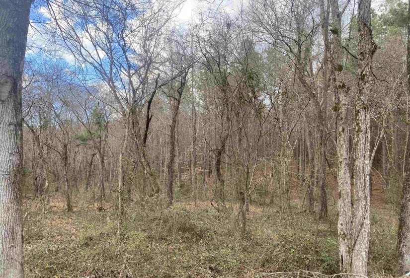 8 ROSE CREEK RD, Selmer, Tennessee 38375, 0 , 0 ,0,Land,For Sale,ROSE CREEK,0,10211595