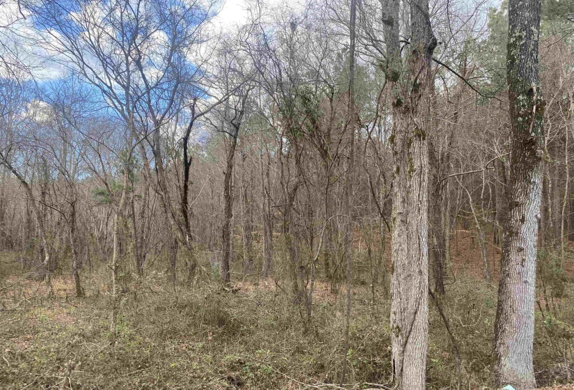 8 ROSE CREEK RD, Selmer, Tennessee 38375, 0 , 0 ,0,Land,For Sale,ROSE CREEK,0,10211595