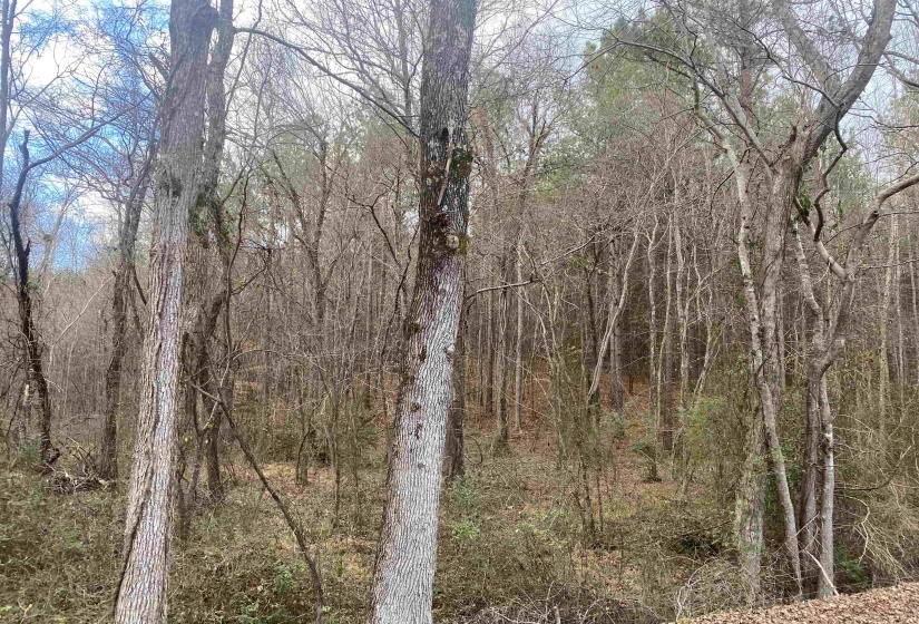 8 ROSE CREEK RD, Selmer, Tennessee 38375, 0 , 0 ,0,Land,For Sale,ROSE CREEK,0,10211595