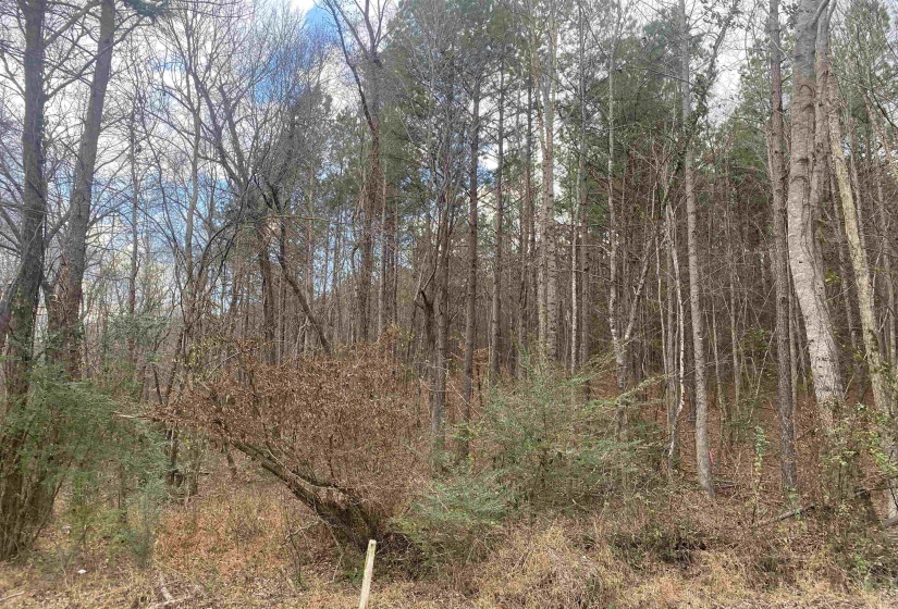 8 ROSE CREEK RD, Selmer, Tennessee 38375, 0 , 0 ,0,Land,For Sale,ROSE CREEK,0,10211595
