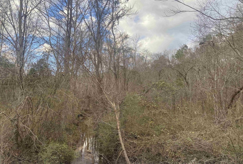 8 ROSE CREEK RD, Selmer, Tennessee 38375, 0 , 0 ,0,Land,For Sale,ROSE CREEK,0,10211595