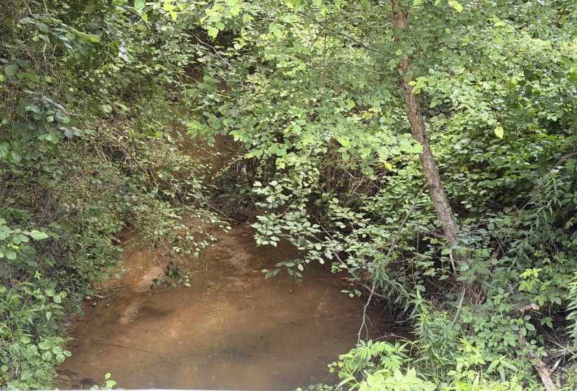 8 ROSE CREEK RD, Selmer, Tennessee 38375, 0 , 0 ,0,Land,For Sale,ROSE CREEK,0,10211595
