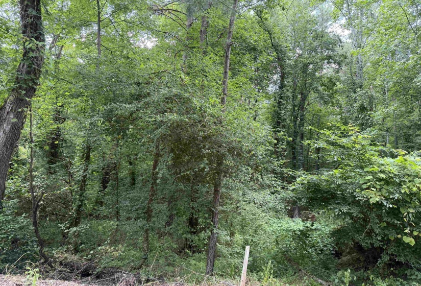 8 ROSE CREEK RD, Selmer, Tennessee 38375, 0 , 0 ,0,Land,For Sale,ROSE CREEK,0,10211595