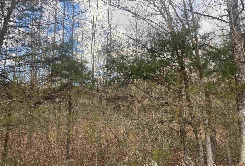 8 ROSE CREEK RD, Selmer, Tennessee 38375, 0 , 0 ,0,Land,For Sale,ROSE CREEK,0,10211595