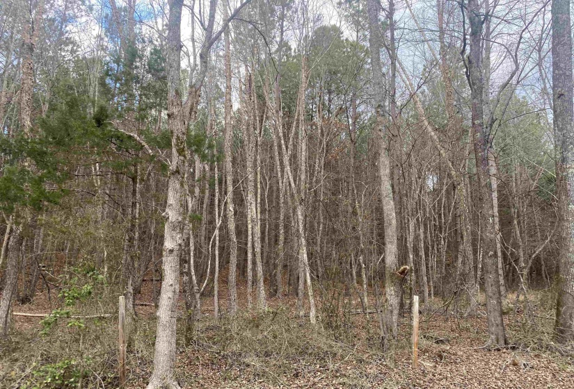9 ROSE CREEK RD, Selmer, Tennessee 38375, 0 , 0 ,0,Land,For Sale,ROSE CREEK,0,10211600