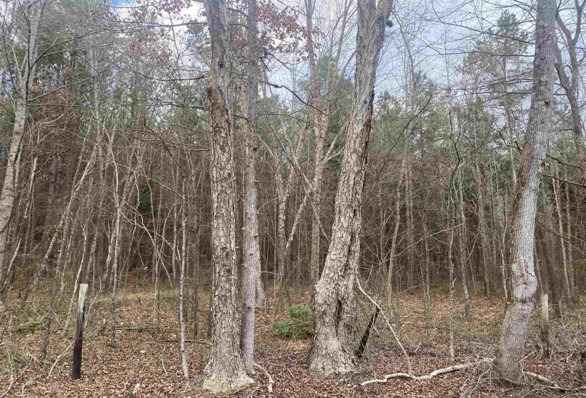 9 ROSE CREEK RD, Selmer, Tennessee 38375, 0 , 0 ,0,Land,For Sale,ROSE CREEK,0,10211600