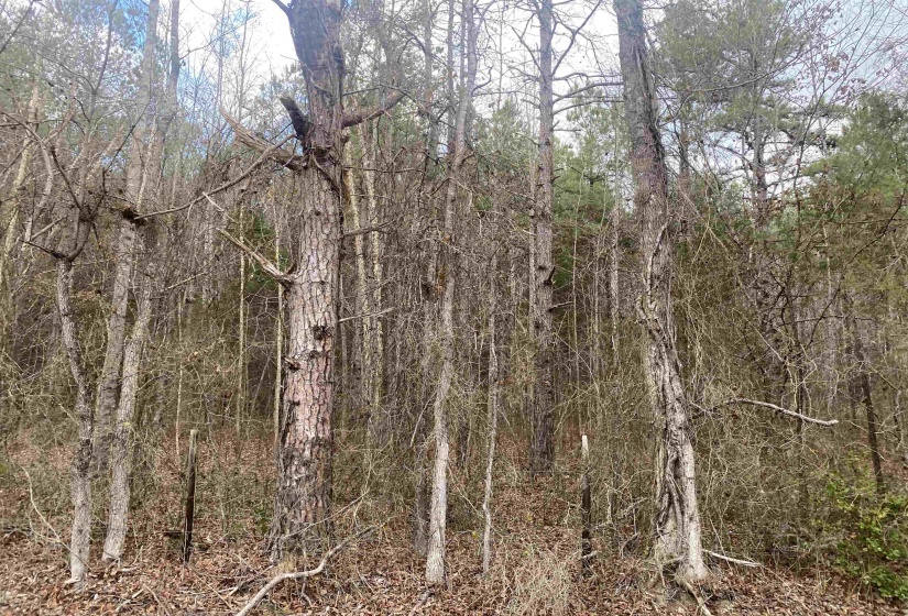 9 ROSE CREEK RD, Selmer, Tennessee 38375, 0 , 0 ,0,Land,For Sale,ROSE CREEK,0,10211600