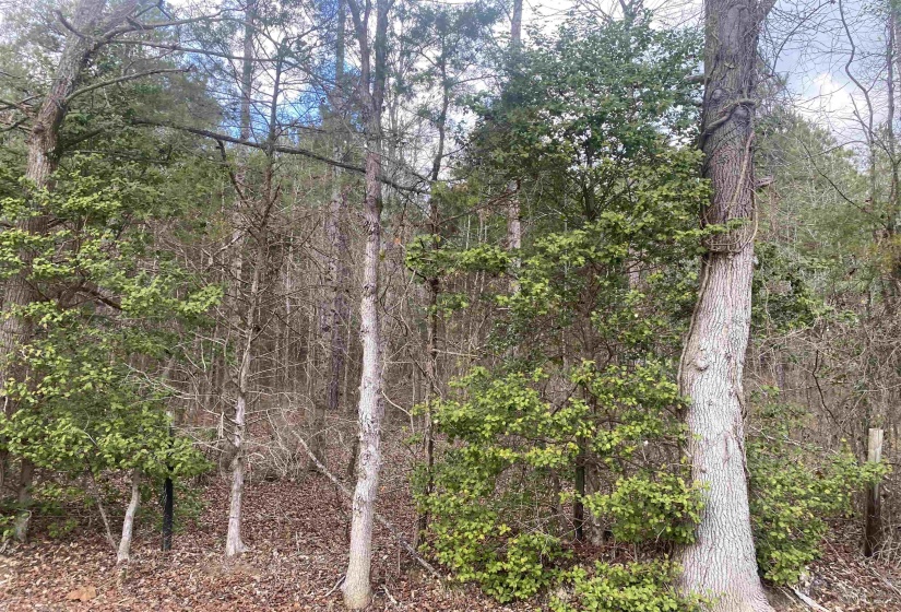 9 ROSE CREEK RD, Selmer, Tennessee 38375, 0 , 0 ,0,Land,For Sale,ROSE CREEK,0,10211600