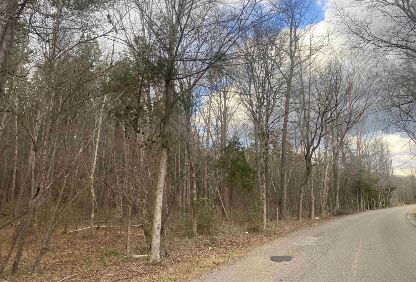 9 ROSE CREEK RD, Selmer, Tennessee 38375, 0 , 0 ,0,Land,For Sale,ROSE CREEK,0,10211600