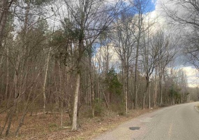 9 ROSE CREEK RD, Selmer, Tennessee 38375, ,Land,For Sale,ROSE CREEK,10211600 9 ROSE CREEK RD, Selmer, Tennessee 38375, ,Land,For Sale,ROSE CREEK,10211600