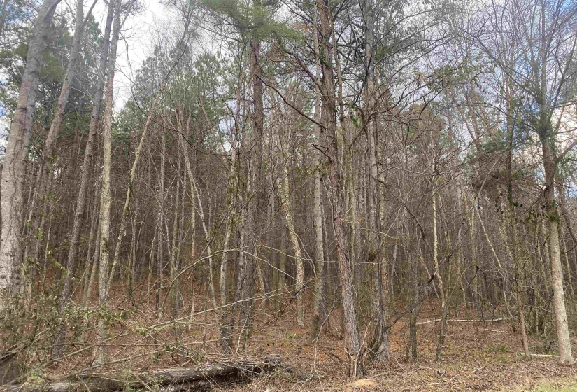 9 ROSE CREEK RD, Selmer, Tennessee 38375, 0 , 0 ,0,Land,For Sale,ROSE CREEK,0,10211600