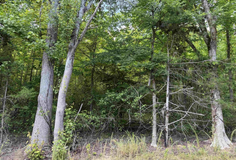 10 ROSE CREEK RD, Selmer, Tennessee 38375, 0 , 0 ,0,Land,For Sale,ROSE CREEK,0,10211605