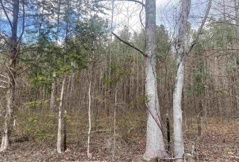 10 ROSE CREEK RD, Selmer, Tennessee 38375, 0 , 0 ,0,Land,For Sale,ROSE CREEK,0,10211605
