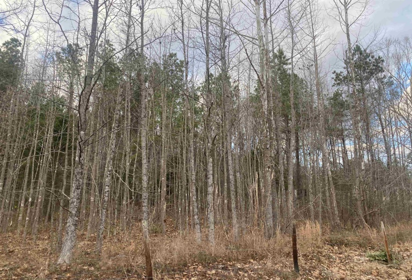 10 ROSE CREEK RD, Selmer, Tennessee 38375, 0 , 0 ,0,Land,For Sale,ROSE CREEK,0,10211605