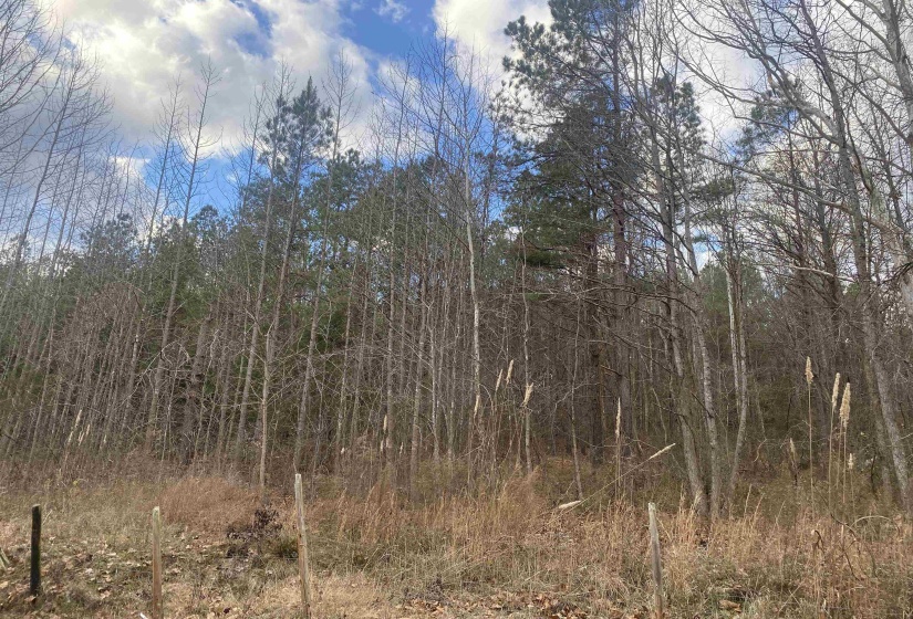 10 ROSE CREEK RD, Selmer, Tennessee 38375, 0 , 0 ,0,Land,For Sale,ROSE CREEK,0,10211605