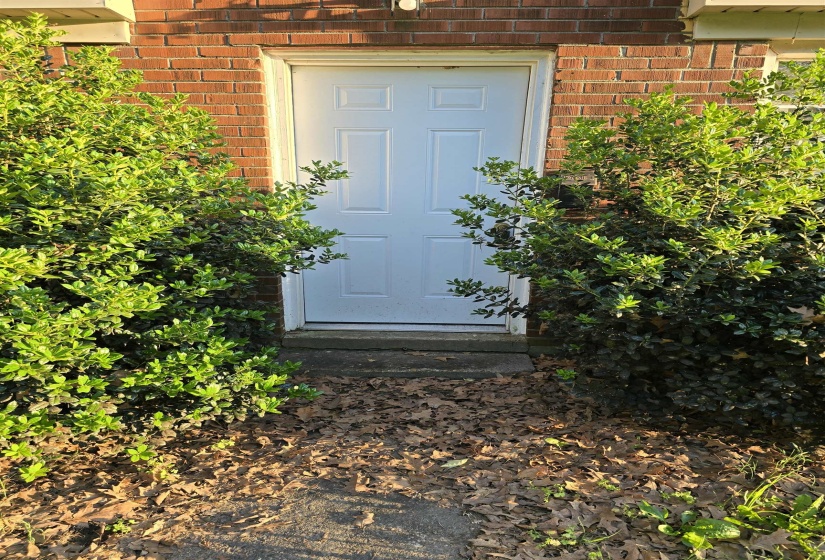 1572 HANAUER ST, Memphis, Tennessee 38109, 0 , 0 ,0,Multi-family,For Sale,HANAUER,0,10196313