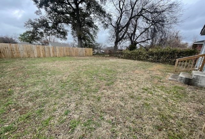 View of yard