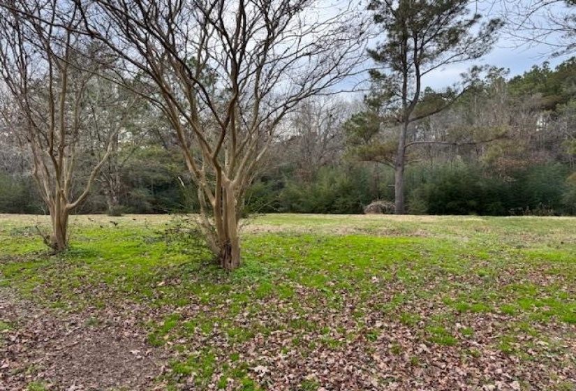 View of yard with a forest view
