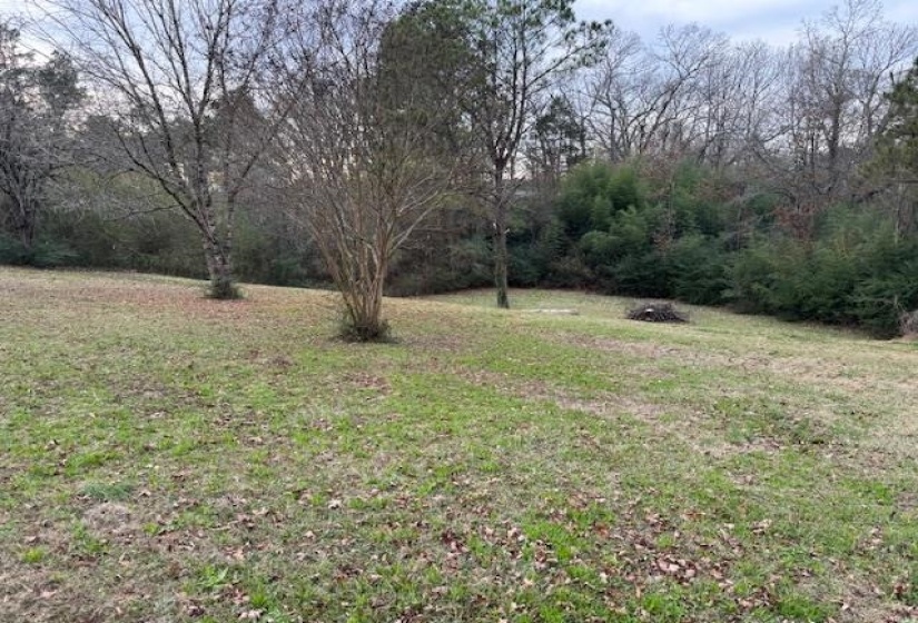View of grassy yard