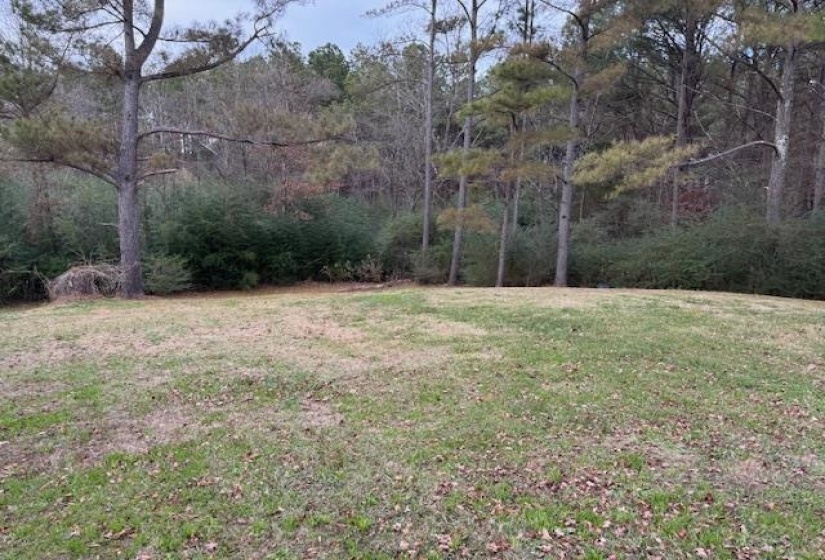 View of green lawn featuring a view of trees