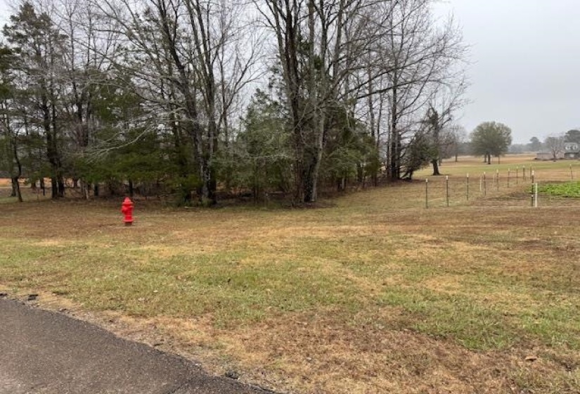 View of green lawn featuring a rural view