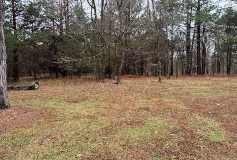 View of yard featuring a wooded view