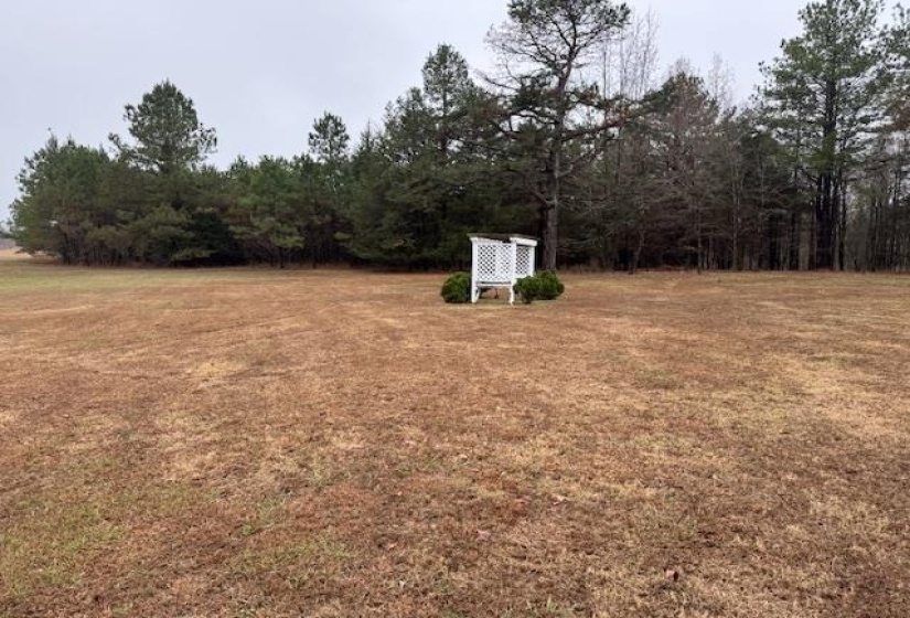 View of grassy yard with a wooded view